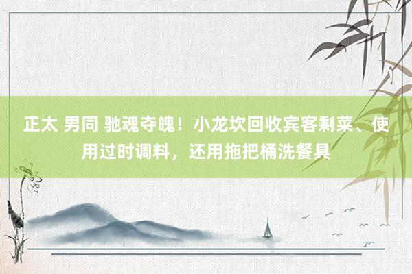 正太 男同 驰魂夺魄！小龙坎回收宾客剩菜、使用过时调料，还用拖把桶洗餐具