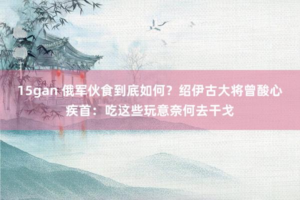 15gan 俄军伙食到底如何？绍伊古大将曾酸心疾首：吃这些玩意奈何去干戈