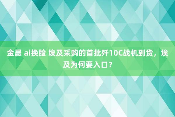 金晨 ai换脸 埃及采购的首批歼10C战机到货，埃及为何要入口？