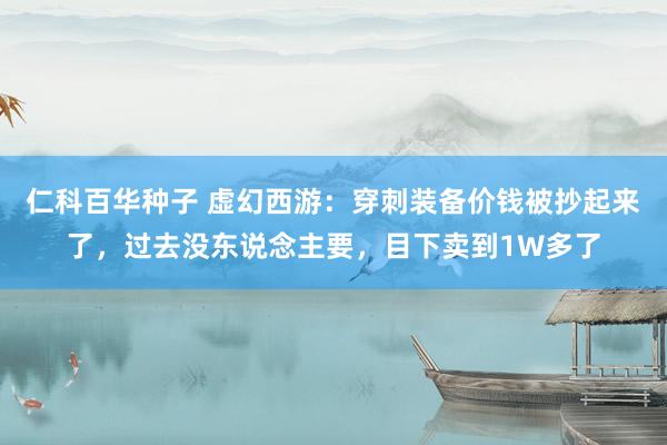 仁科百华种子 虚幻西游：穿刺装备价钱被抄起来了，过去没东说念主要，目下卖到1W多了