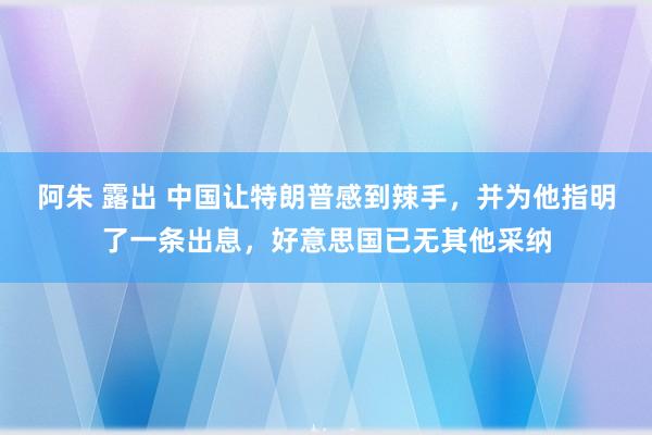 阿朱 露出 中国让特朗普感到辣手，并为他指明了一条出息，好意思国已无其他采纳