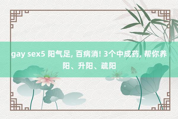 gay sex5 阳气足, 百病消! 3个中成药, 帮你养阳、升阳、疏阳