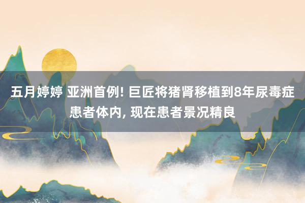五月婷婷 亚洲首例! 巨匠将猪肾移植到8年尿毒症患者体内, 现在患者景况精良