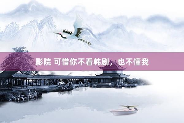 影院 可惜你不看韩剧，也不懂我