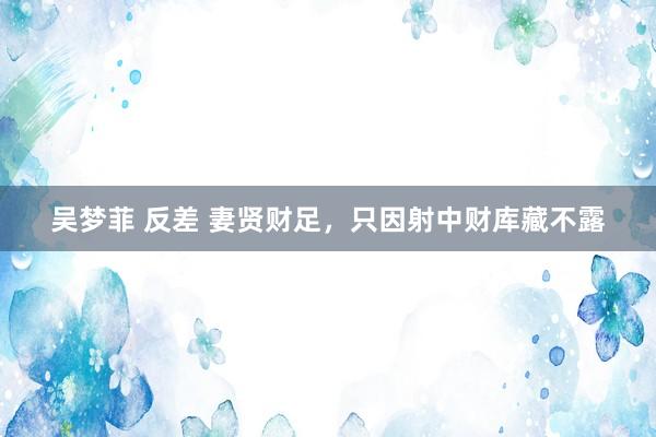 吴梦菲 反差 妻贤财足，只因射中财库藏不露