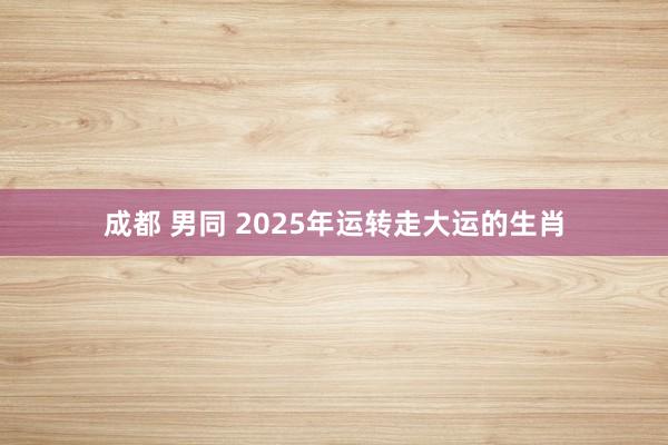 成都 男同 2025年运转走大运的生肖