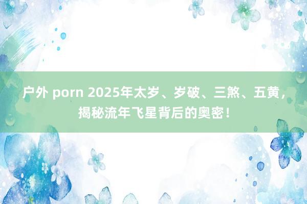 户外 porn 2025年太岁、岁破、三煞、五黄，揭秘流年飞星背后的奥密！