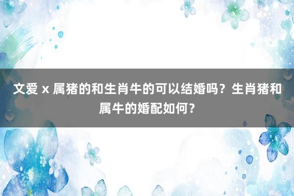 文爱 x 属猪的和生肖牛的可以结婚吗？生肖猪和属牛的婚配如何？