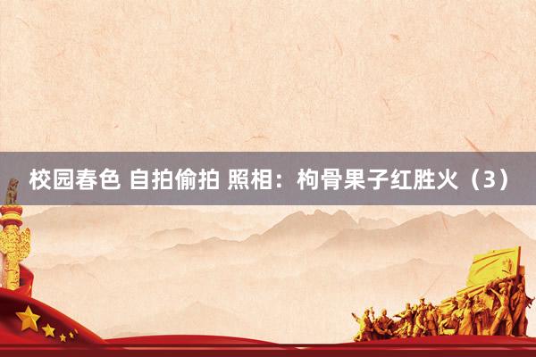 校园春色 自拍偷拍 照相：枸骨果子红胜火（3）
