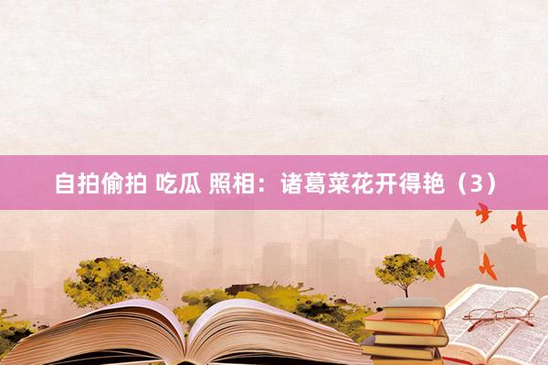 自拍偷拍 吃瓜 照相：诸葛菜花开得艳（3）